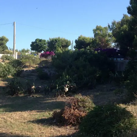 Casa vacanze Enzo *